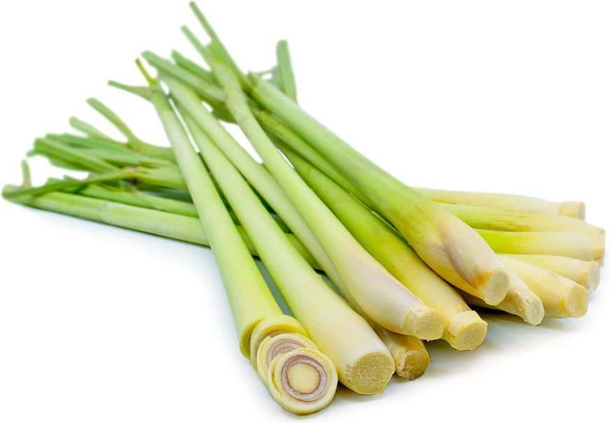 Lemon Grass 150g Limunska trava