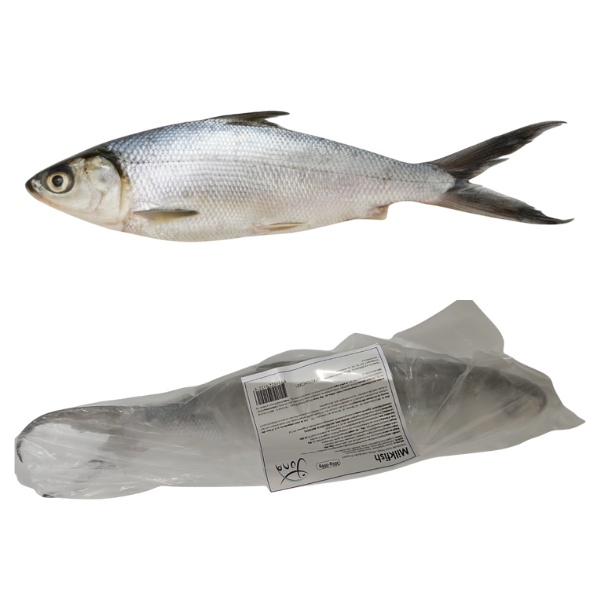 Fisher Farms Bangus Whole 600 - 800g Mliječna riba cijela komad