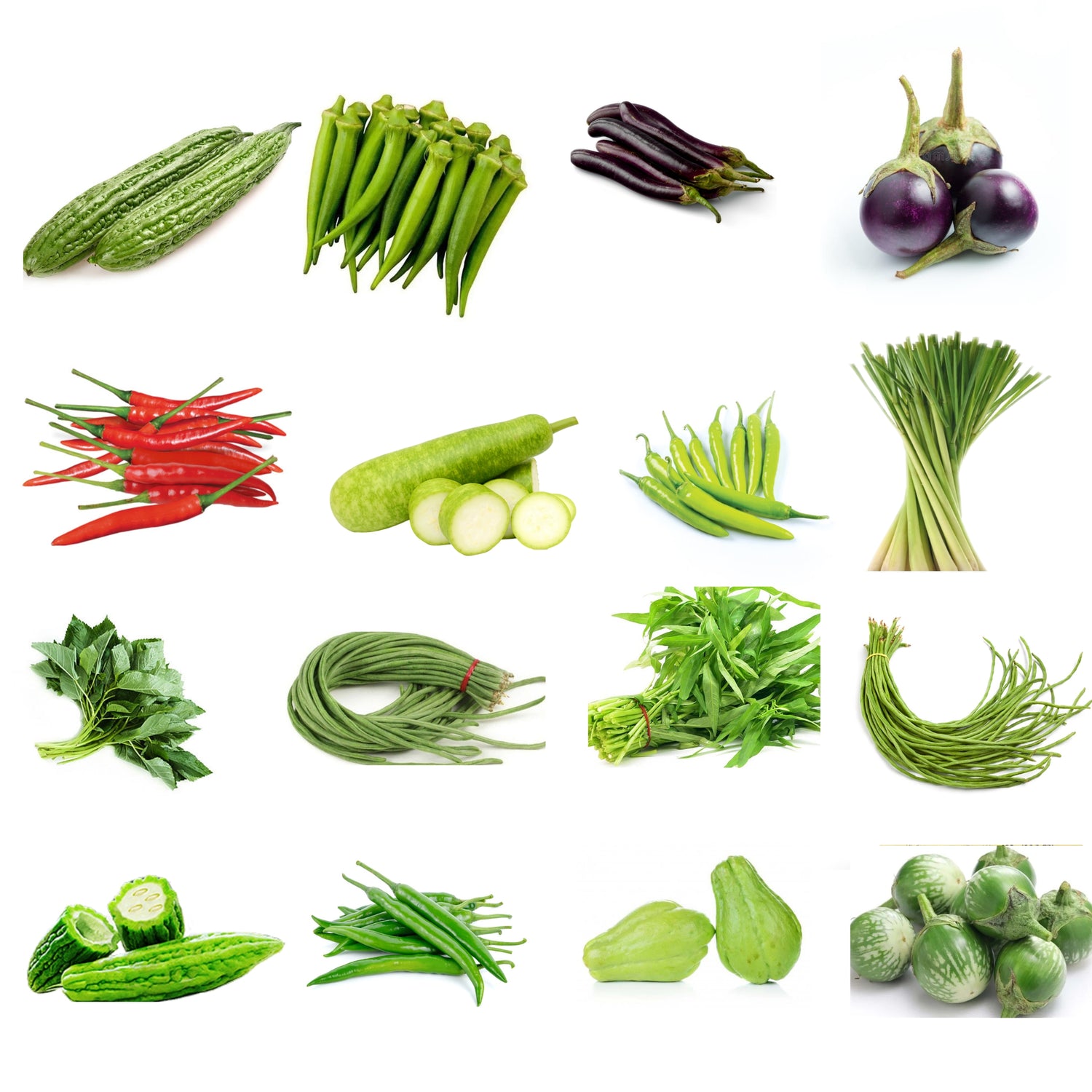 FRESH FRUITS AND VEGETABLE / SVJEŽE VOĆE I POVRĆE