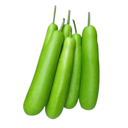 Bottle Gourd Upo Lauki 1pcs Tikva 1komad