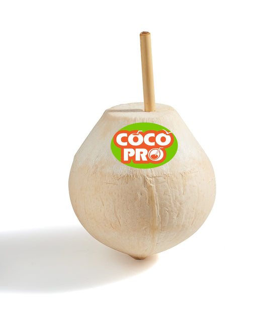 Fresh Young Coconut Drink komad Svježi mladi kokos