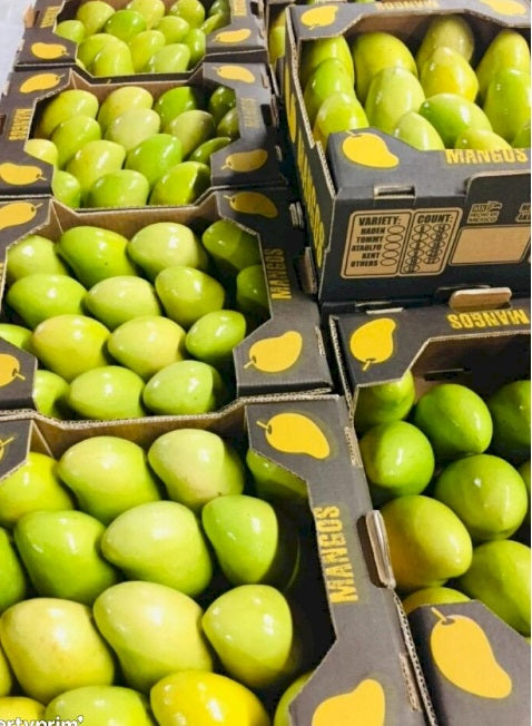 Mango Yellow Fresh 1kg Svježi žuti Mango