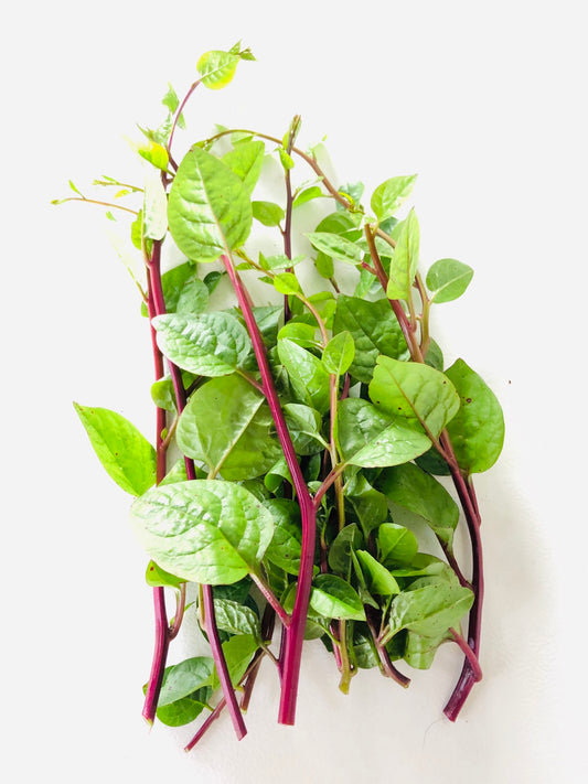 Malabar Spinach / Alugbati  150g Malabarski Špinat