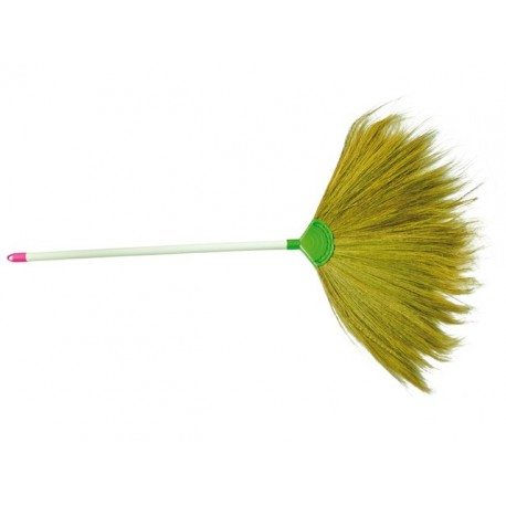 Broom Asian Metla Azijska